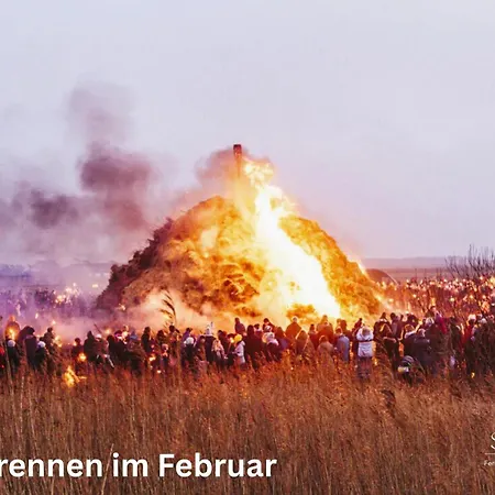Koenig 
