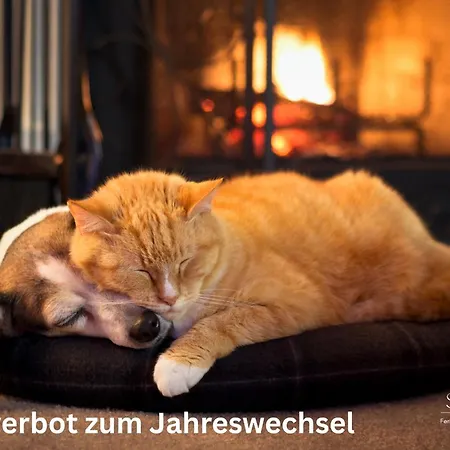 Koenig 